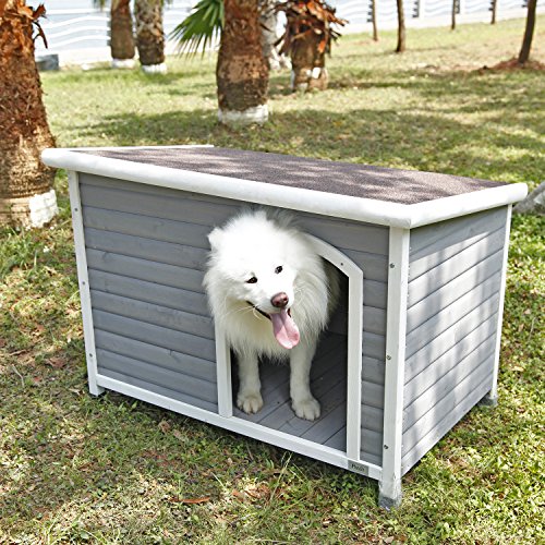 10 Best Insulated Dog Houses 2021 Winter Dog House Reviews