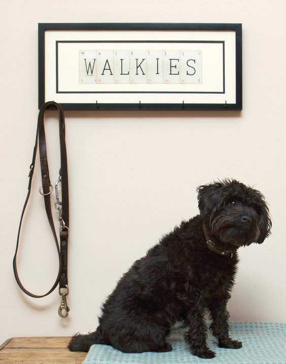 Petlog Kennel Club Microchip The Kennel Club Warn All Dog Owners