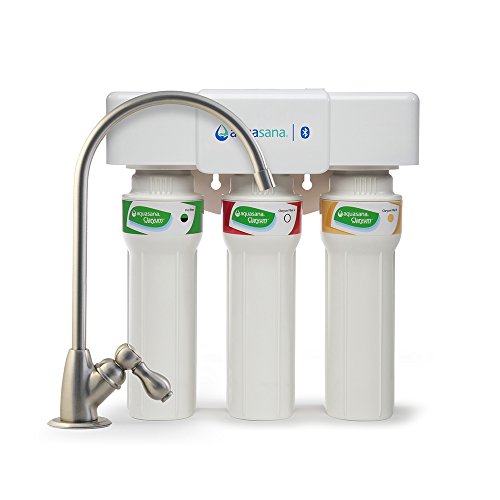 5 Best Water Filters of 2025, Tested & Reviewed