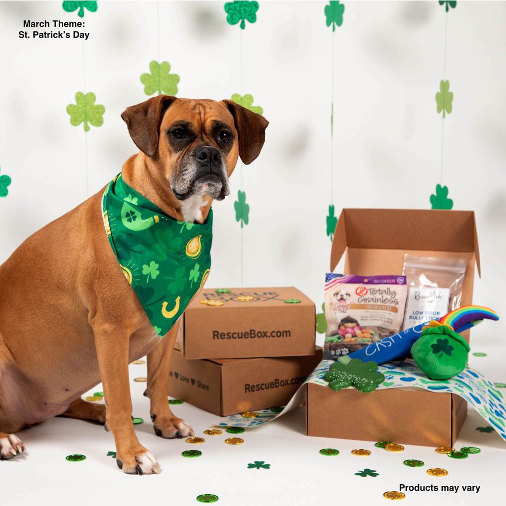 Pet Supplies Best Dog Subscription Box Rescuebox Pet Subscription