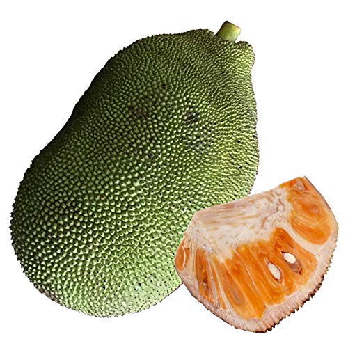 特大　ジャックフルーツ 　パラミツ 楽天市場】ジャックフルーツ マレーシア産 冷凍400g×5パック