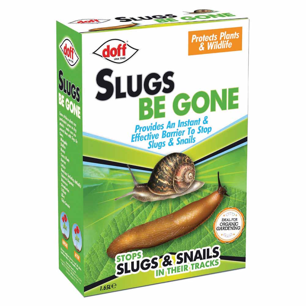How to get rid of garden slugs (the eco-friendly way)