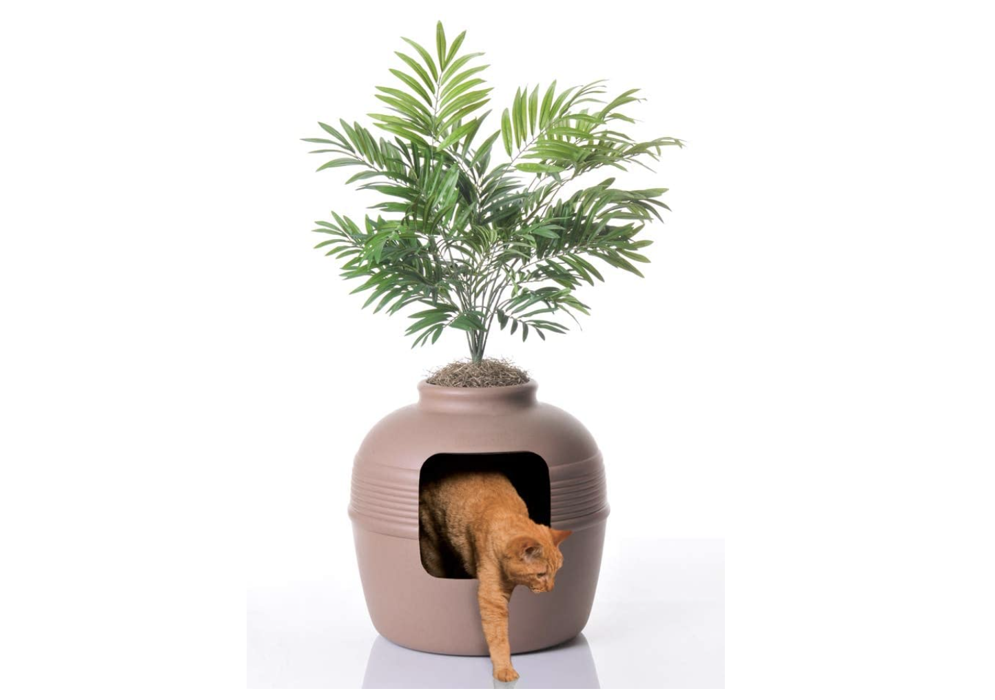 fancy litter boxes