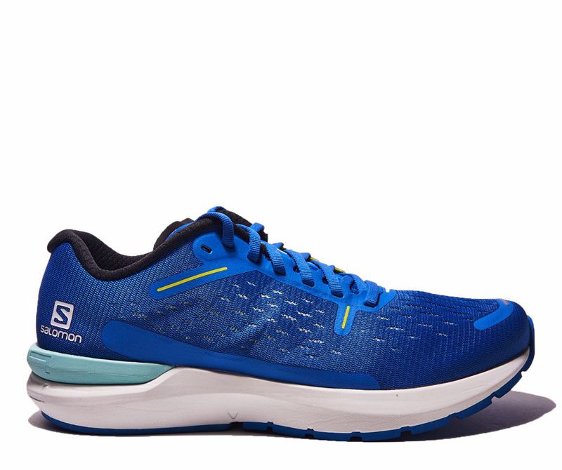 【選手用】SALOMON prototype SL 165cm icon24 SALOMON S／RACE FIS SL 165 + ICON 24 - 2024 - Ski Shop