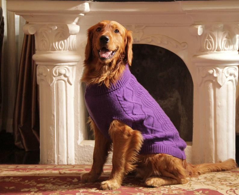 best dog sweaters for small breeds