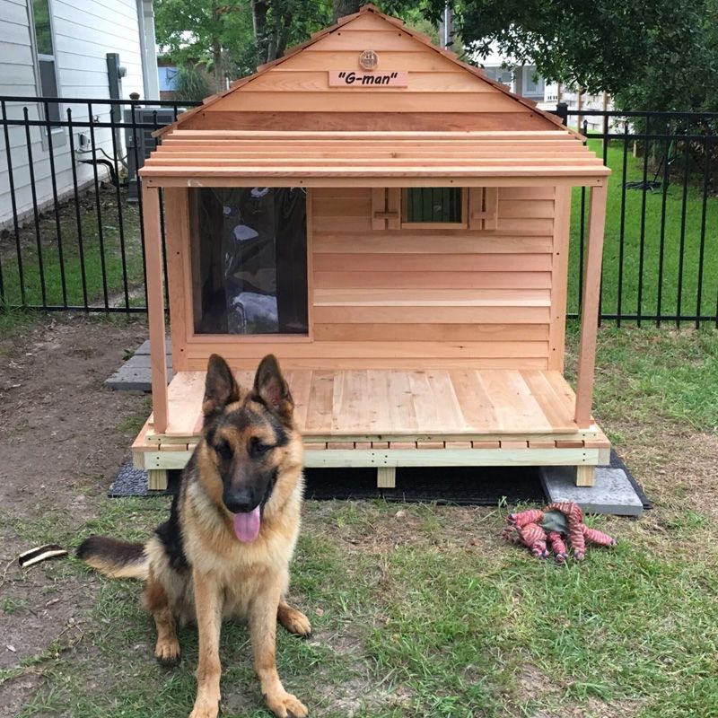 Best Doghouses Outdoor Shelters for Dogs