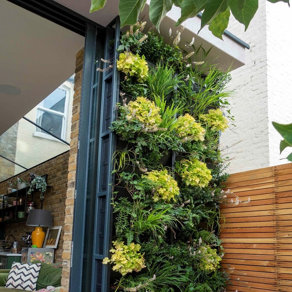 How to create a living plant wall in your garden