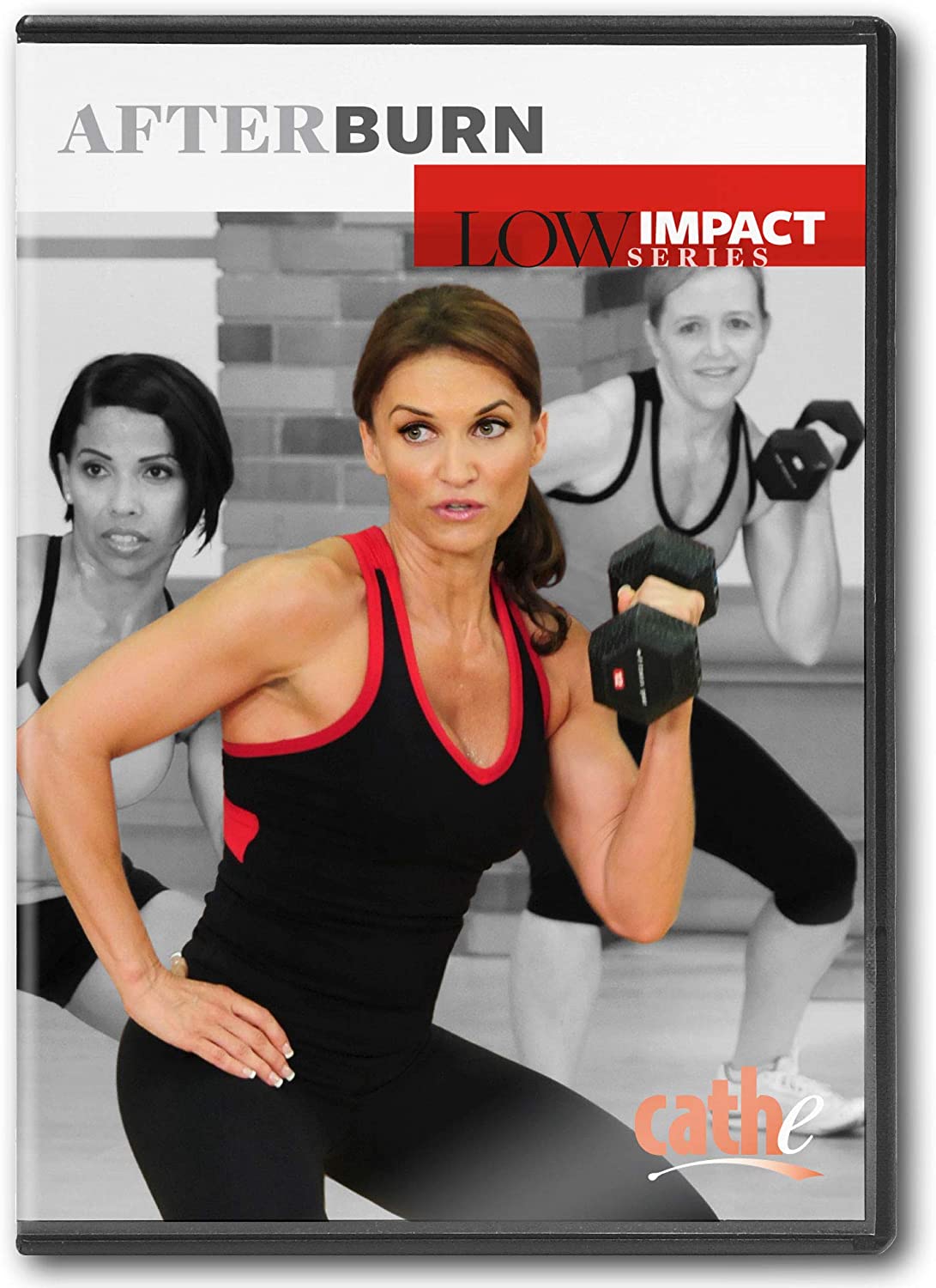 (未使用･未開封品)Step Aerobic Fatburner Workout [DVD] FAT DESTROYER STEP AEROBICS WORKOUT - 40-Minute Beginner