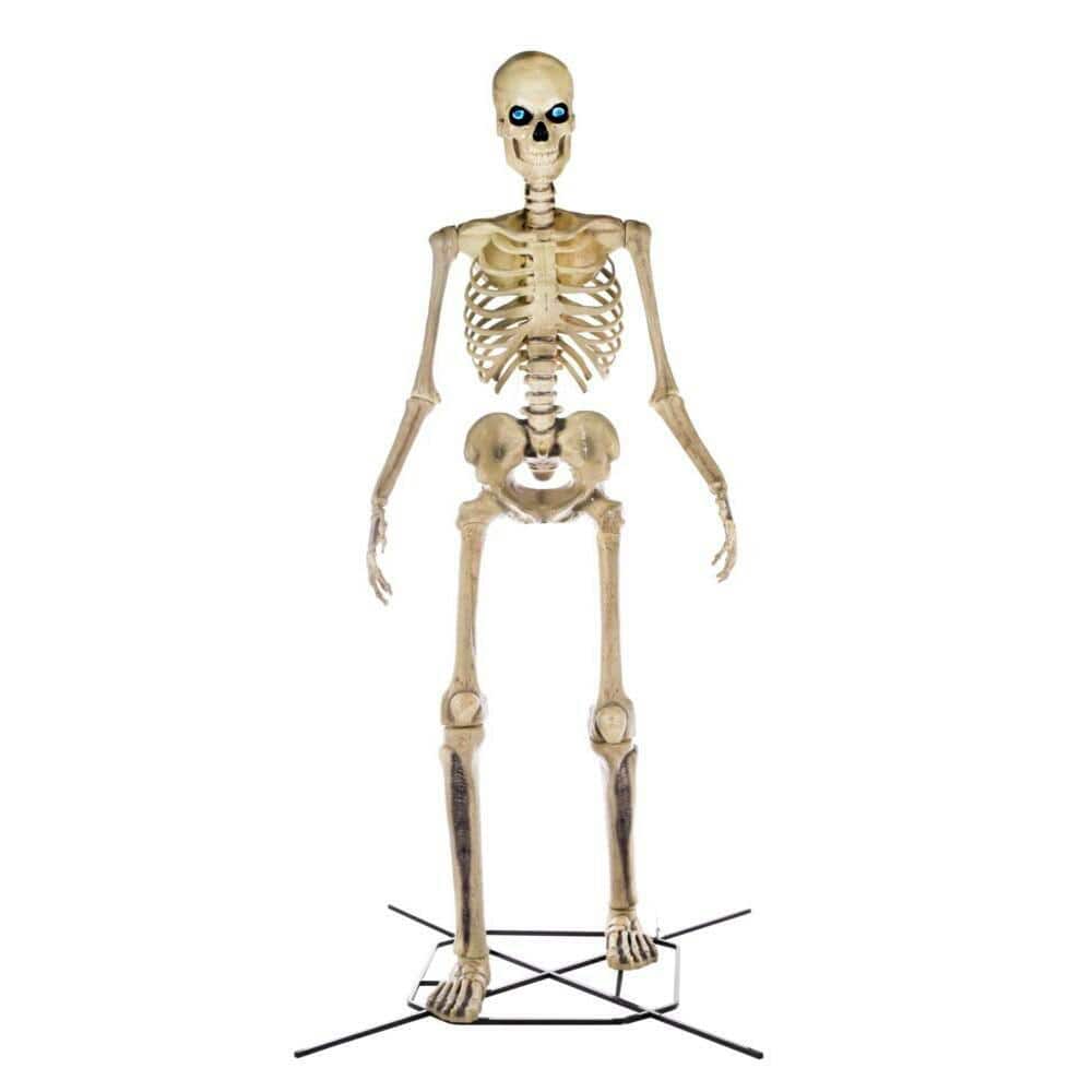 Chicken Skeleton Halloween 2022 The Home Depot 12 Foot Skeleton Is Back For Halloween 2022