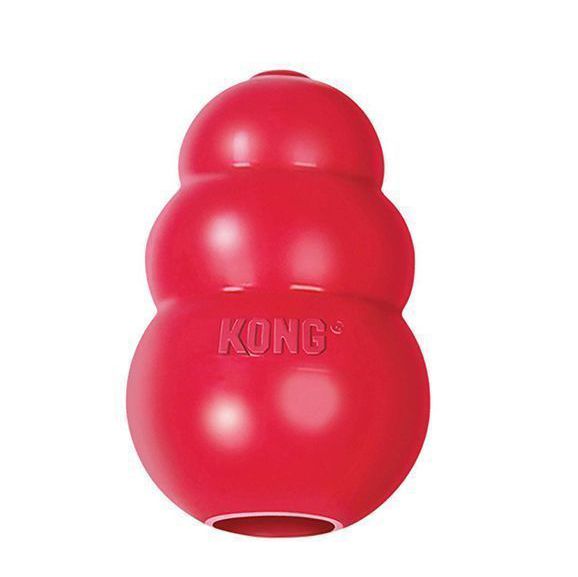 15 Best Dog Toys of 2024 for Large and Small Breeds