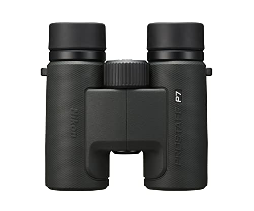 10 Best Binoculars of 2022