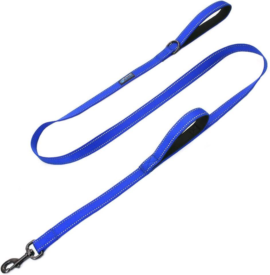 Best Dog Leashes for 2022 Dog Leash Recommendations