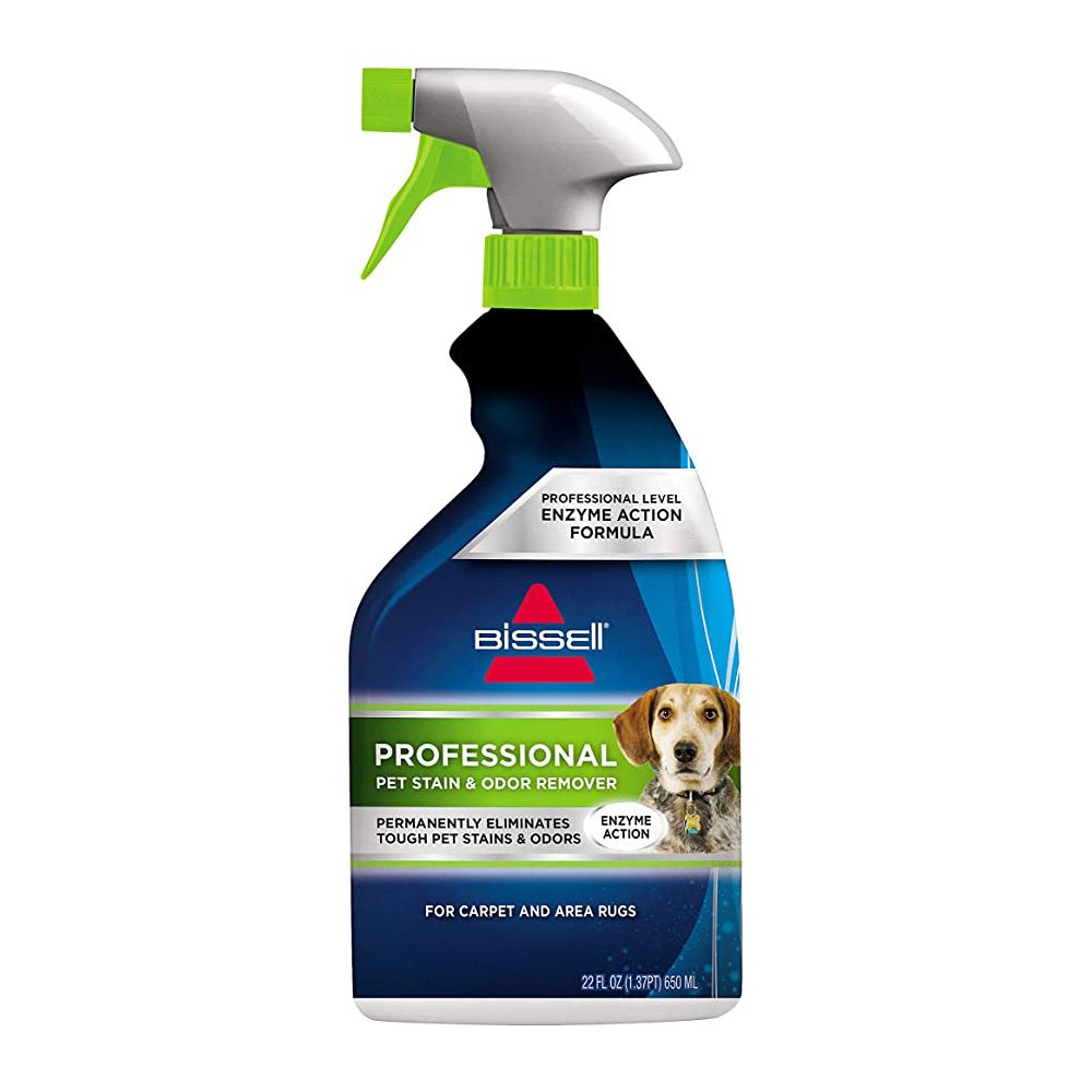 12 Best Carpet Stain Removers in 2023