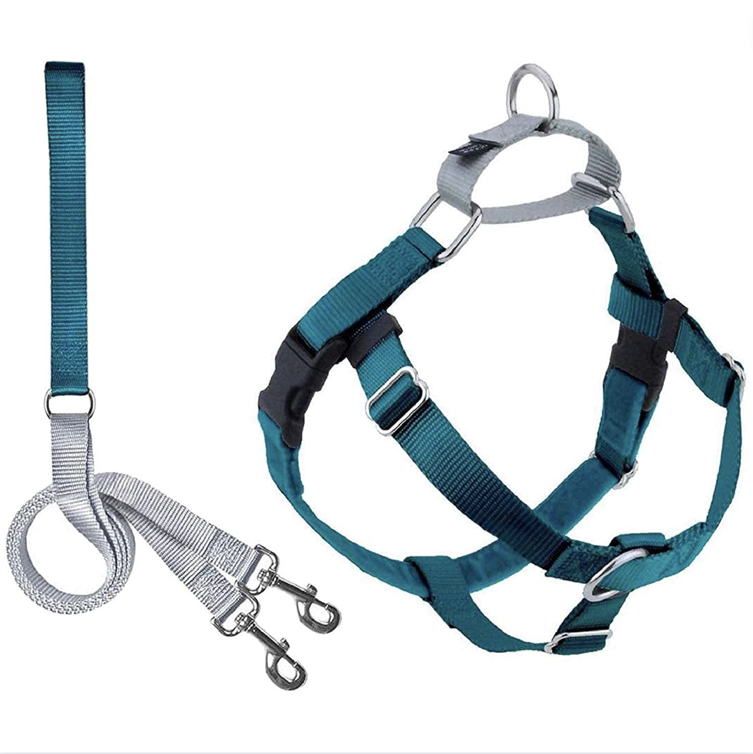 11 Best Dog Leashes of 2024, Tested by Experts