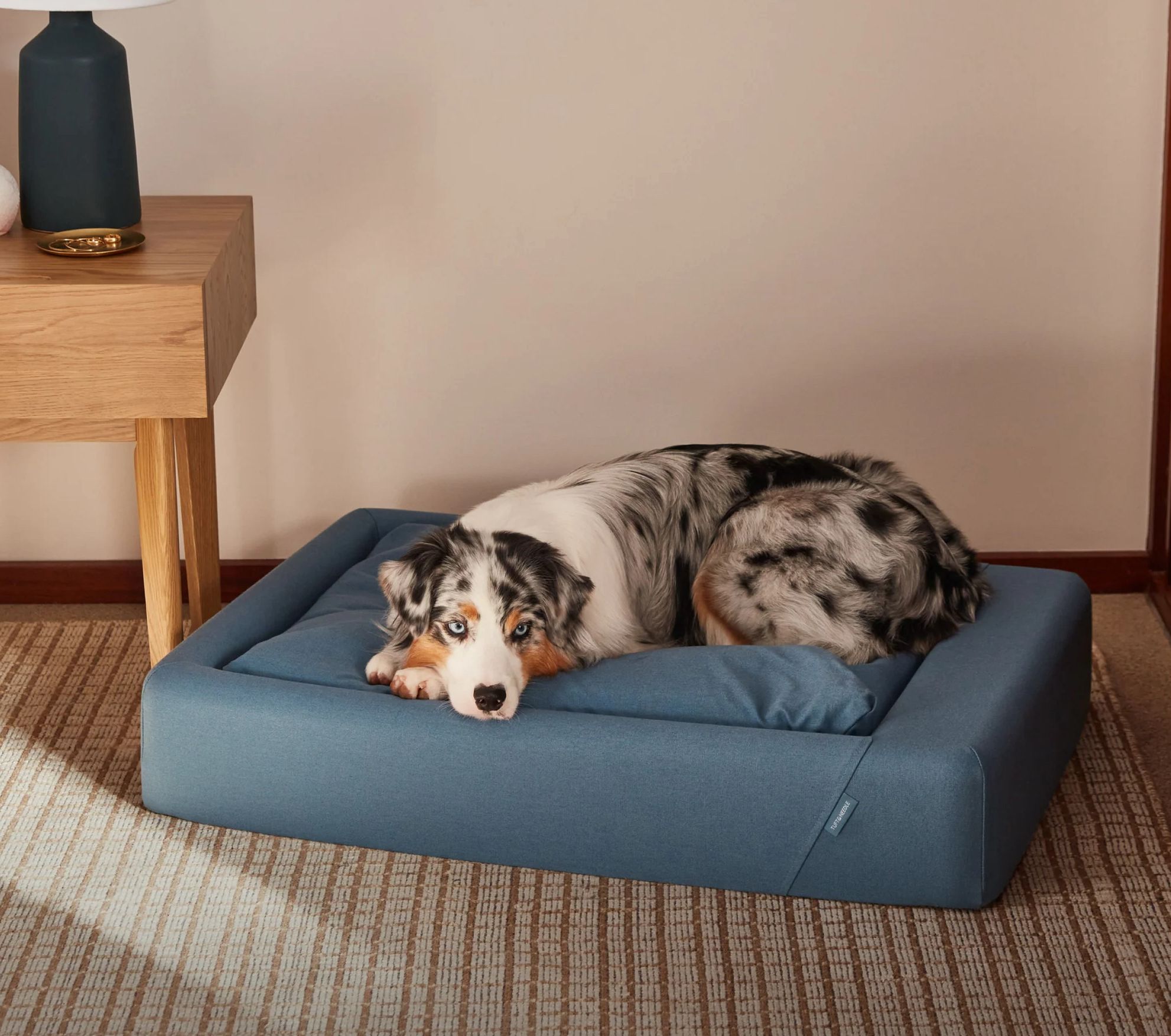 Memory Foam Tuft And Needle Dog Bed 12 Luxury Dog Beds To Buy In