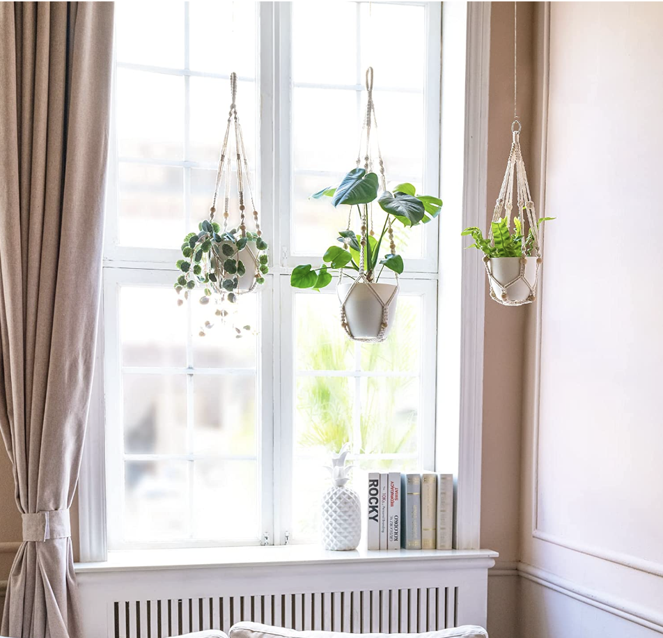 20 Best Indoor Hanging Planters of 2023