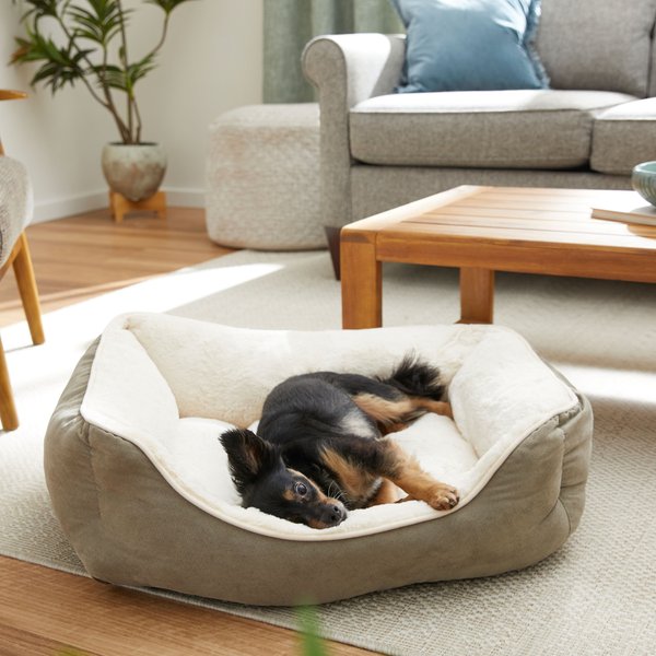 Best Dog Beds in 2024 Tested and Reviewed Dog Beds