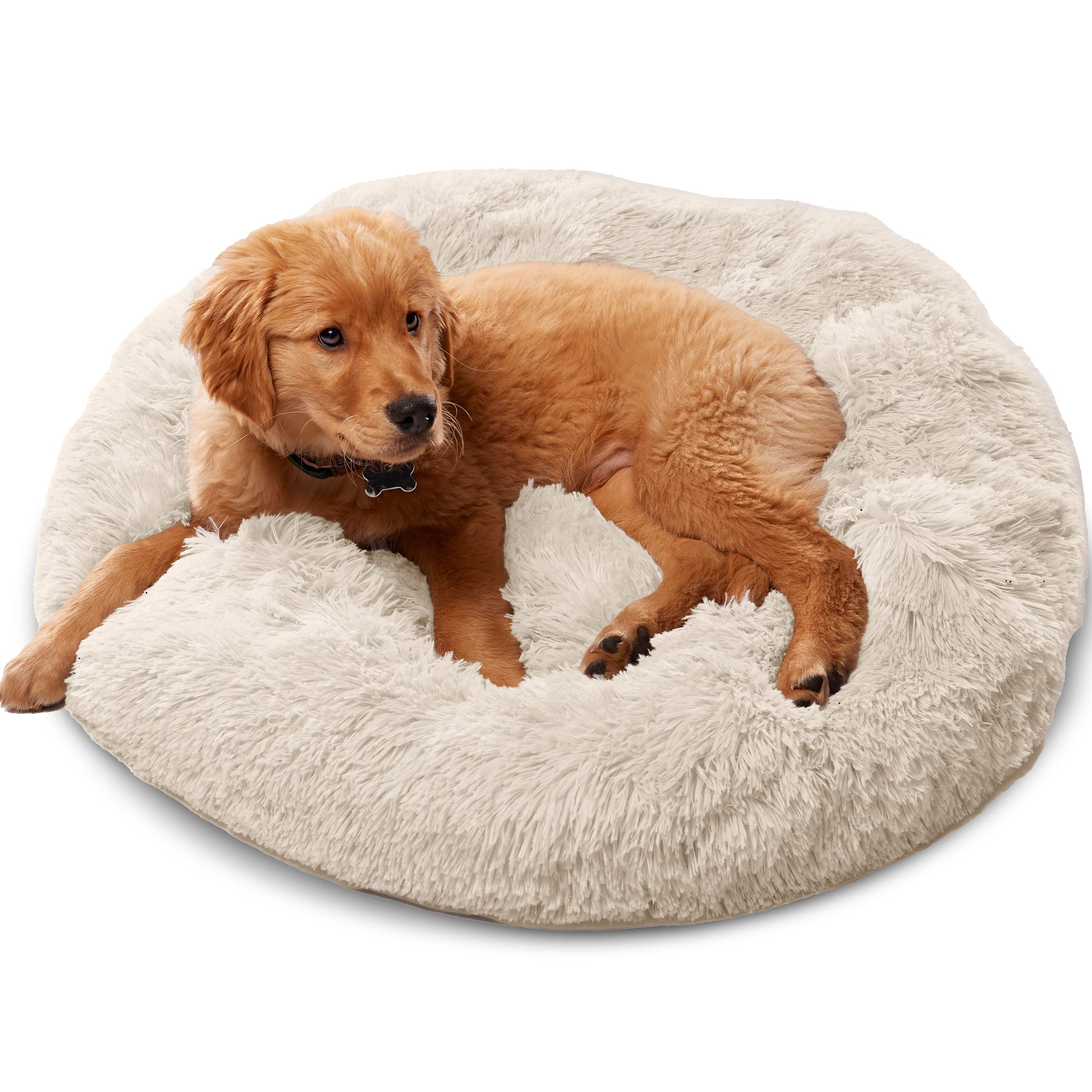 Best Dog Beds in 2024 Tested and Reviewed Dog Beds