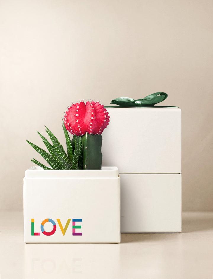 LGBTUNICORNS Pride Mystery Bags - Coming Out Gift Box With LGBTQ+ Accessories & Jewelry