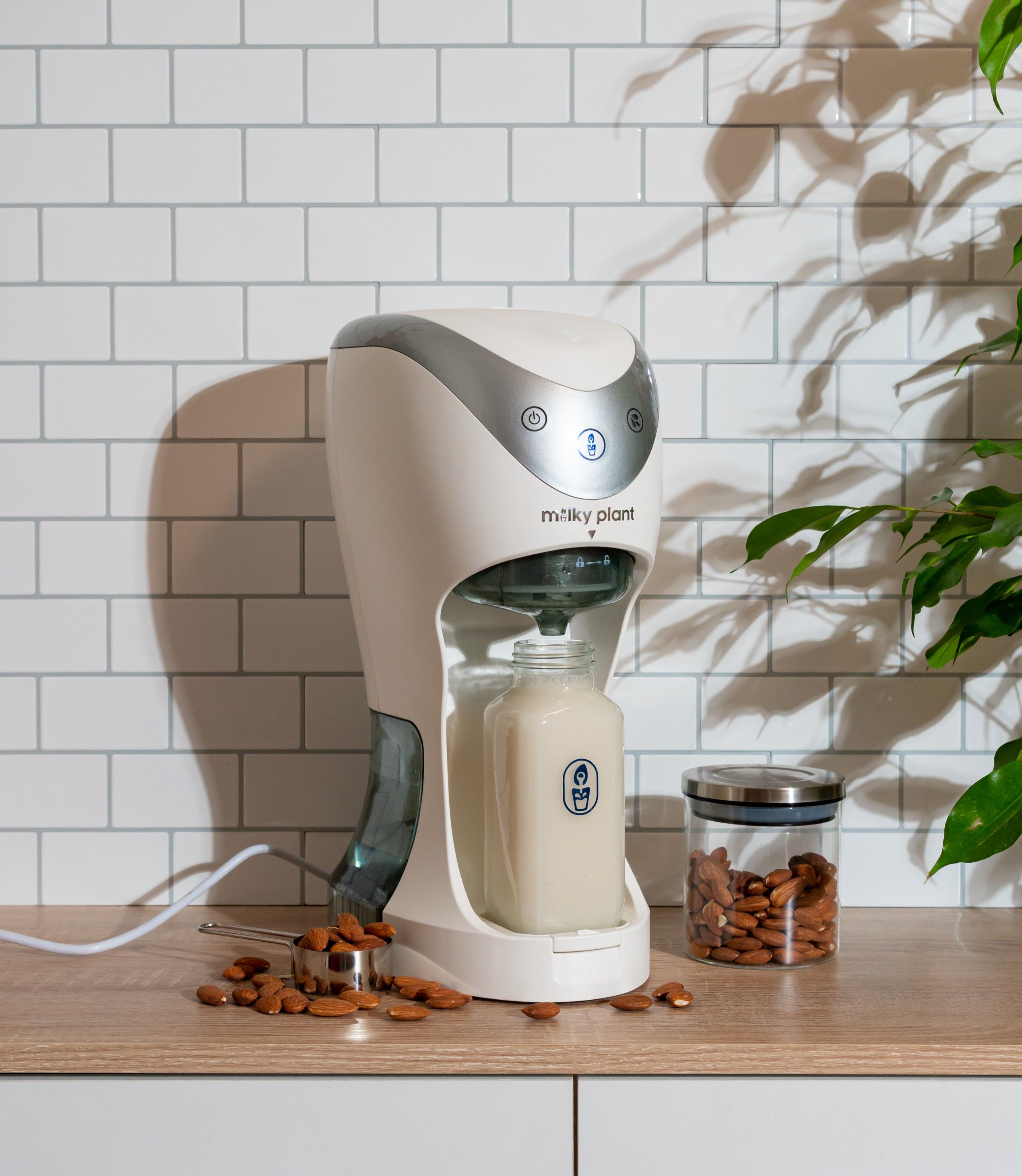 Milky Plant review: Is the homemade nut milk maker worth the money?