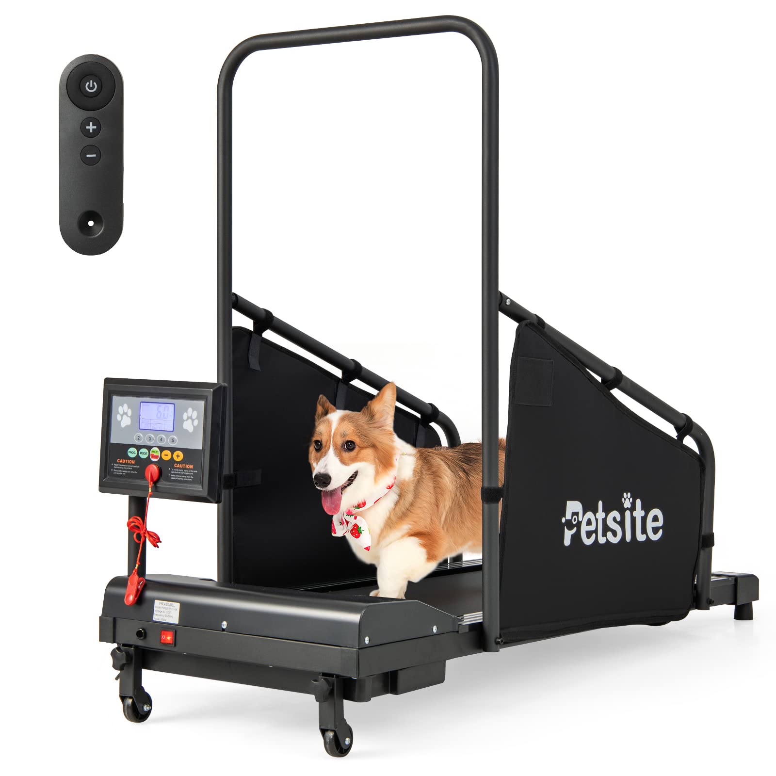 Pet Treadmill Dogpacer Treadmill Reviews Firepaw Phoenix Dog