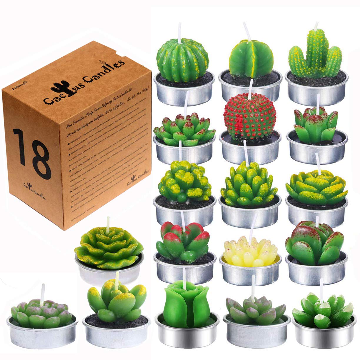 Pawzity Gifts For Plant Lovers - Plant Lover Gifts - Christmas Gift For Plants Lovers - Plants Lover Ideas For Women - Gardening Gift Ideas - 16 Oz Can Glass