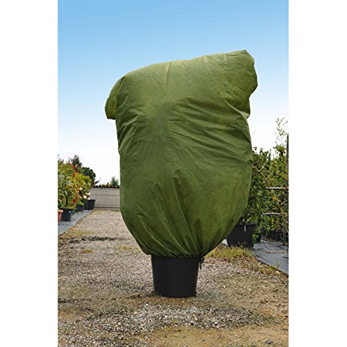 2 Coperture Invernali Per Piante: Protezione Antigelo 56x56x58 Cm Con Picchetti E Nastri