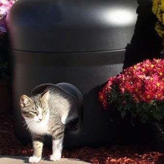 best insulation for cat house