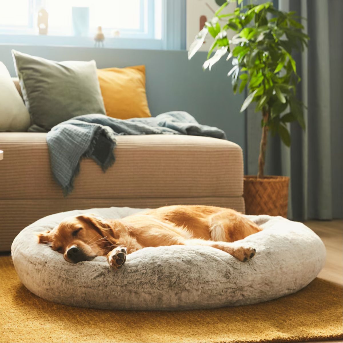Para Perros Cama Gatos Ikea Cojin Para Perros Ikea Cojin Perro