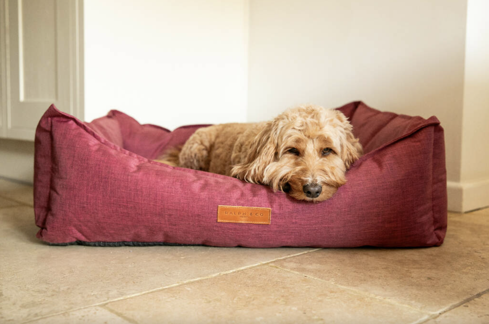 13 Best Washable Dog Beds 2025: Top Picks You Can Wash