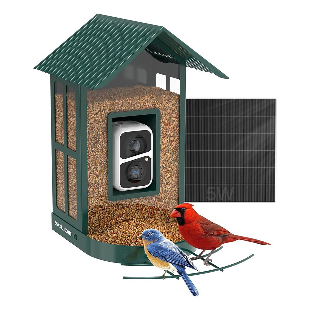 The Best Smart Bird Feeders for Identifying Species and Feeding