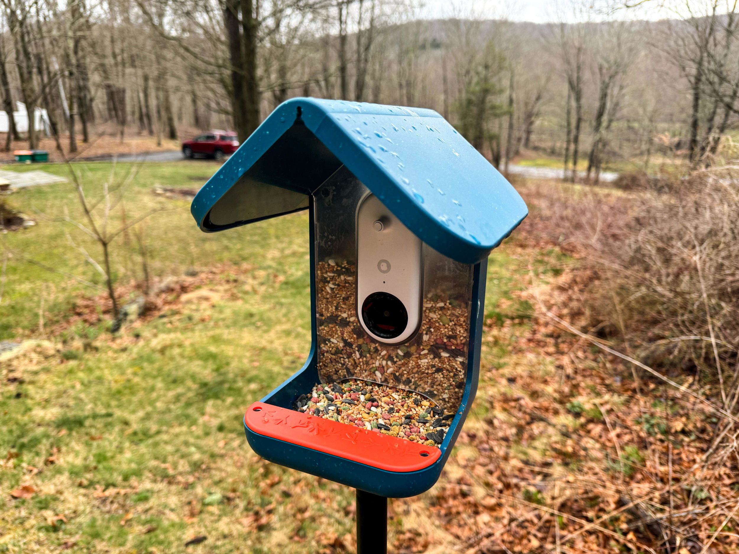 The Best Smart Bird Feeders of 2024 Best Smart Bird Feeder