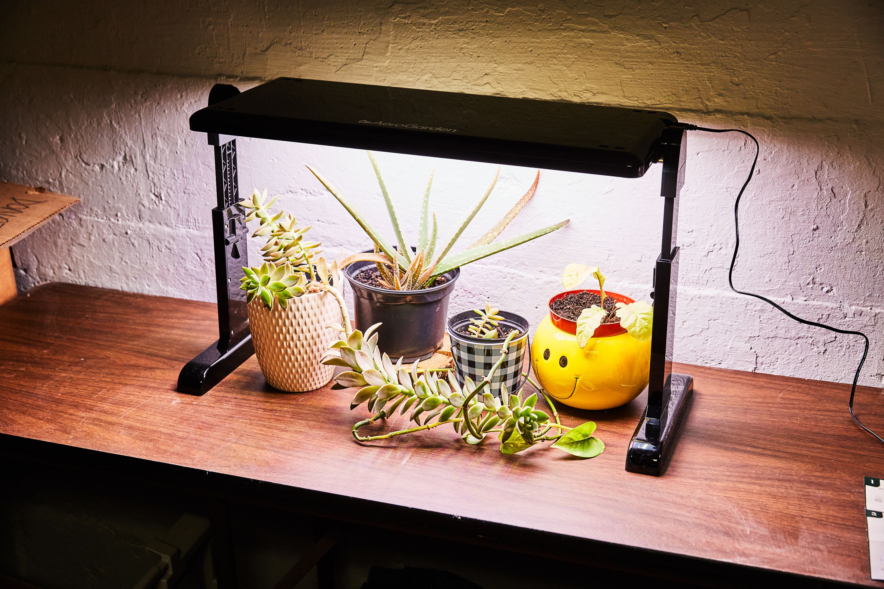 Grow Light Space Saving LED Grow Lights Pour Des Plantes Florissantes: