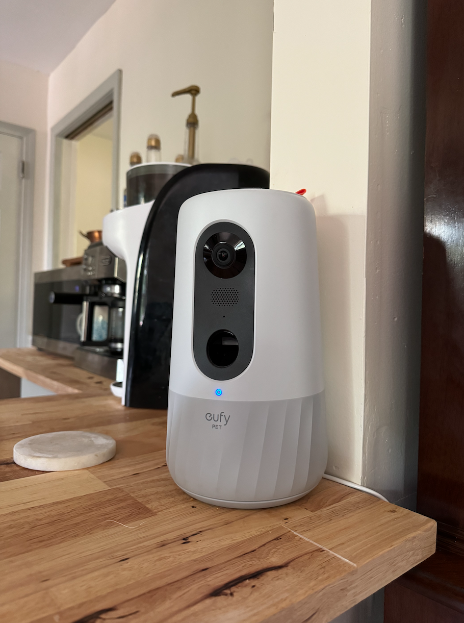 Best Pet Cameras of 2024, According to Our Testing