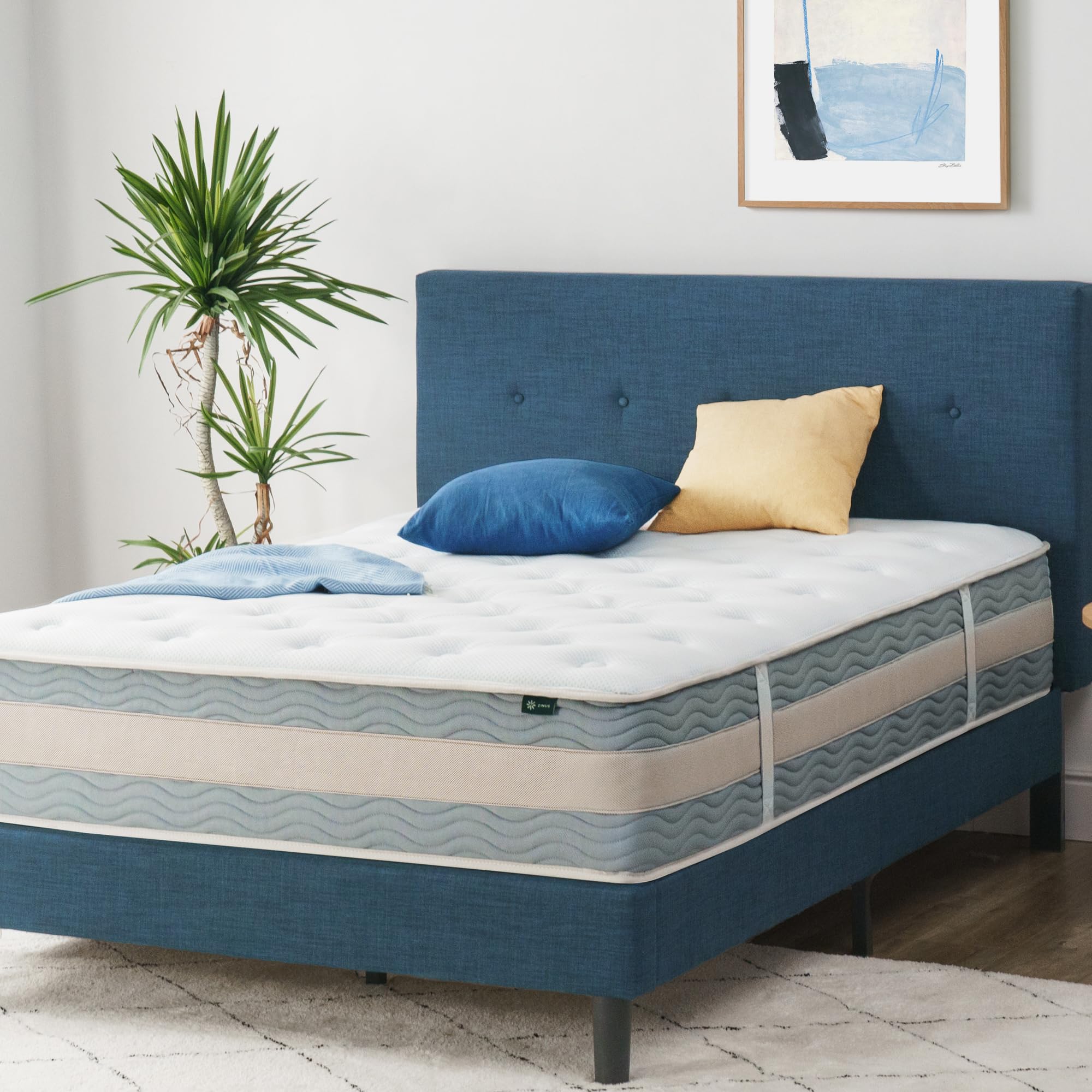 Professional Mattress Best Cheap Mattress Reddit Catalina Mattress