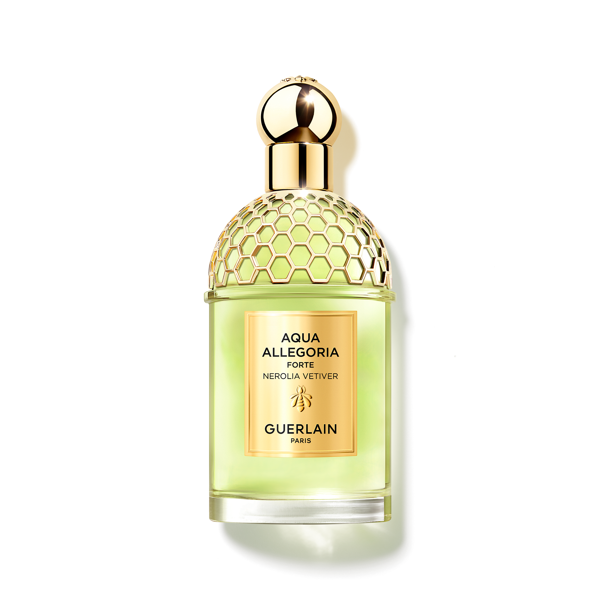 Perfumes Amaderados Fragancias Citricas Para Hombre Perfumes