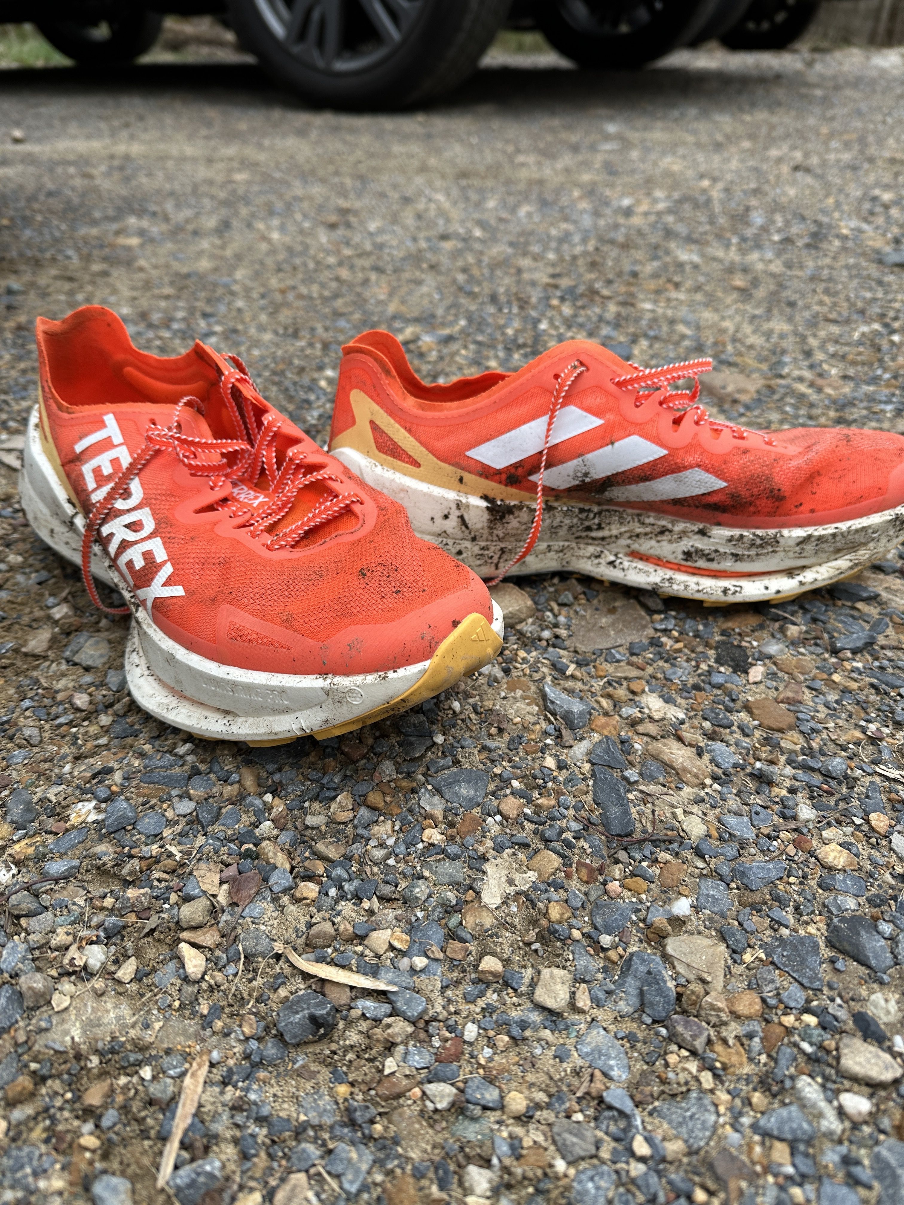 ◆大人気◆◆ADIDAS◆TERREX Agravic Speed Ultra Trail Running Adidas Terrex Agravic Speed Ultra: Buckle Up and Blast Off