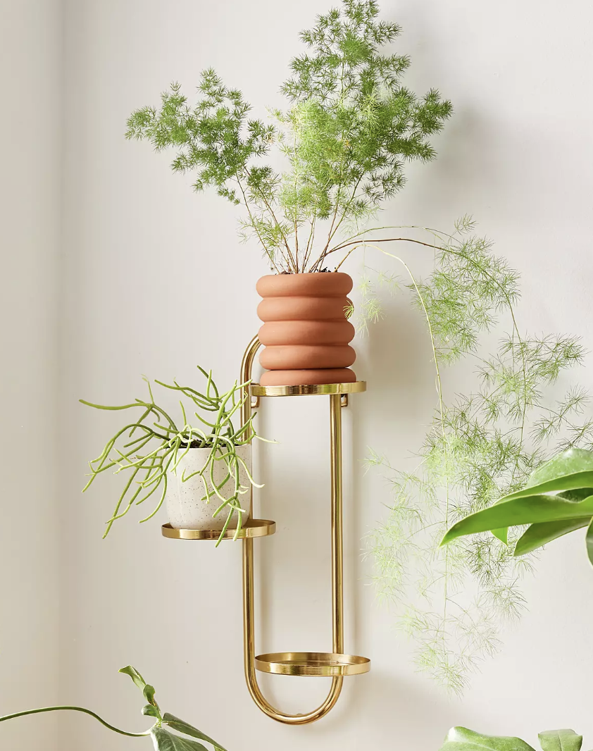 1720718132-screenshot-2024-07-