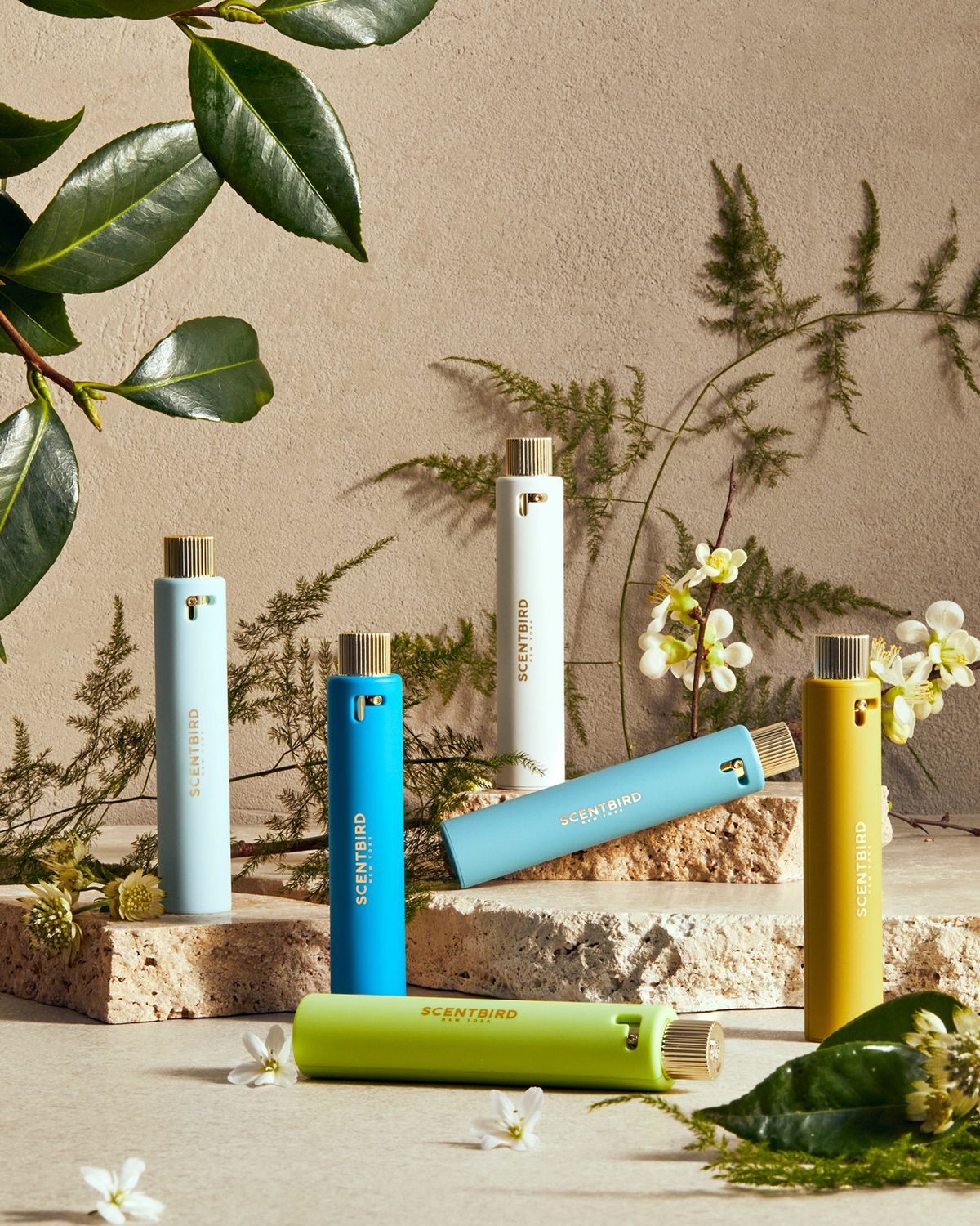 Scentbird Review Free Trial Perfume Scentbird First Month Free