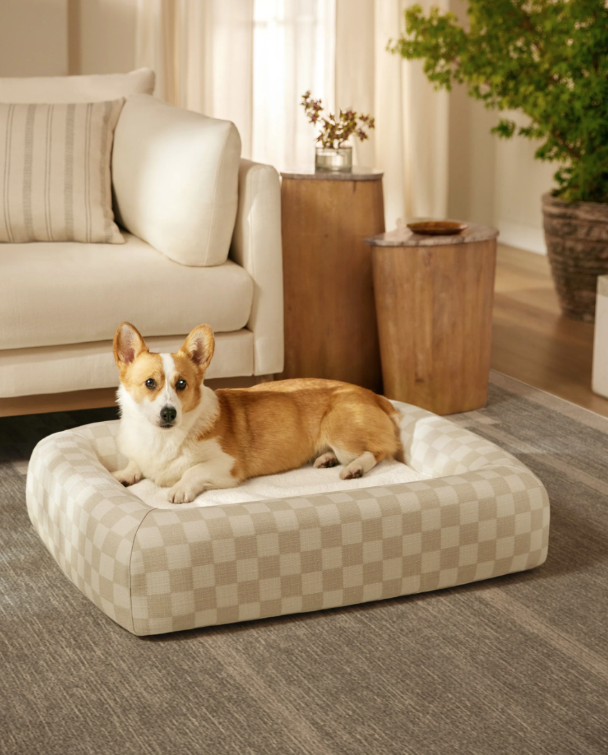 Dog Breeds Best Pet Beds For Medium Dogs FRISCO Steel-Framed