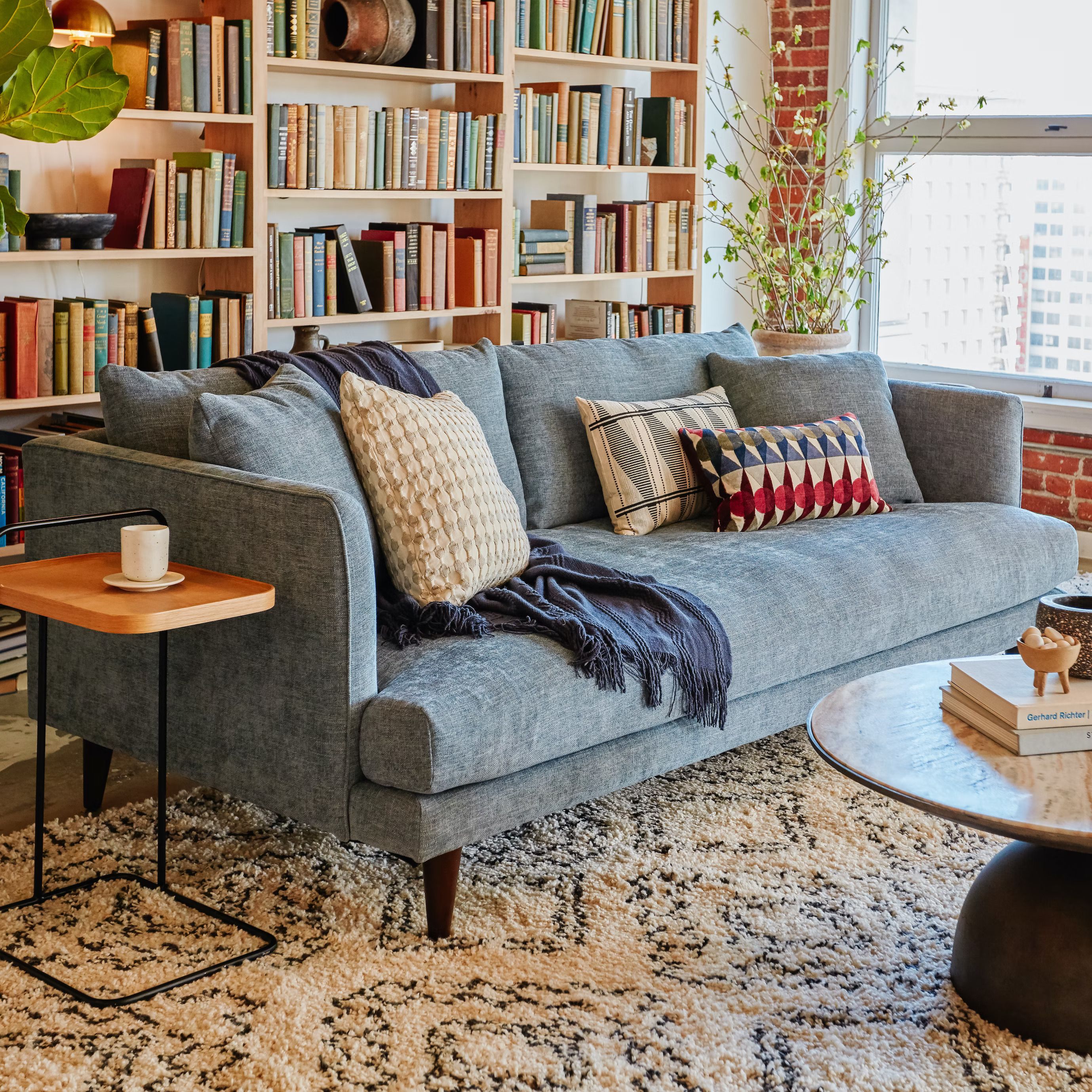 12 Best Pet-Friendly Couches of 2025 for All Budgets