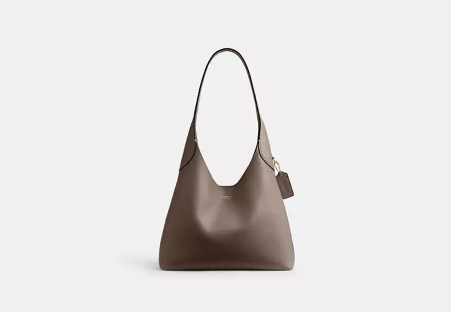 Why Everyone Is Obsessed With Coach's Brooklyn Bag 29