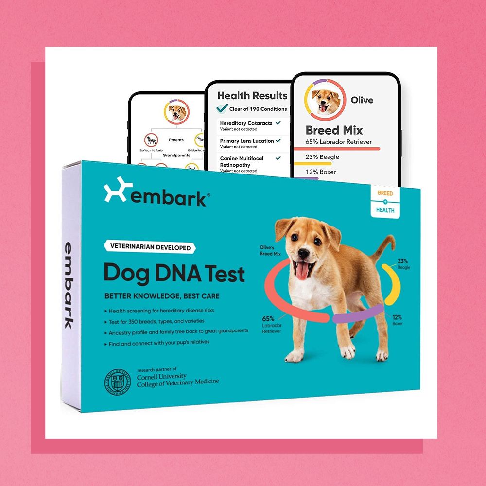 Mixed Breed Identification Advance Dna Test Find Out Dog Breed Dna