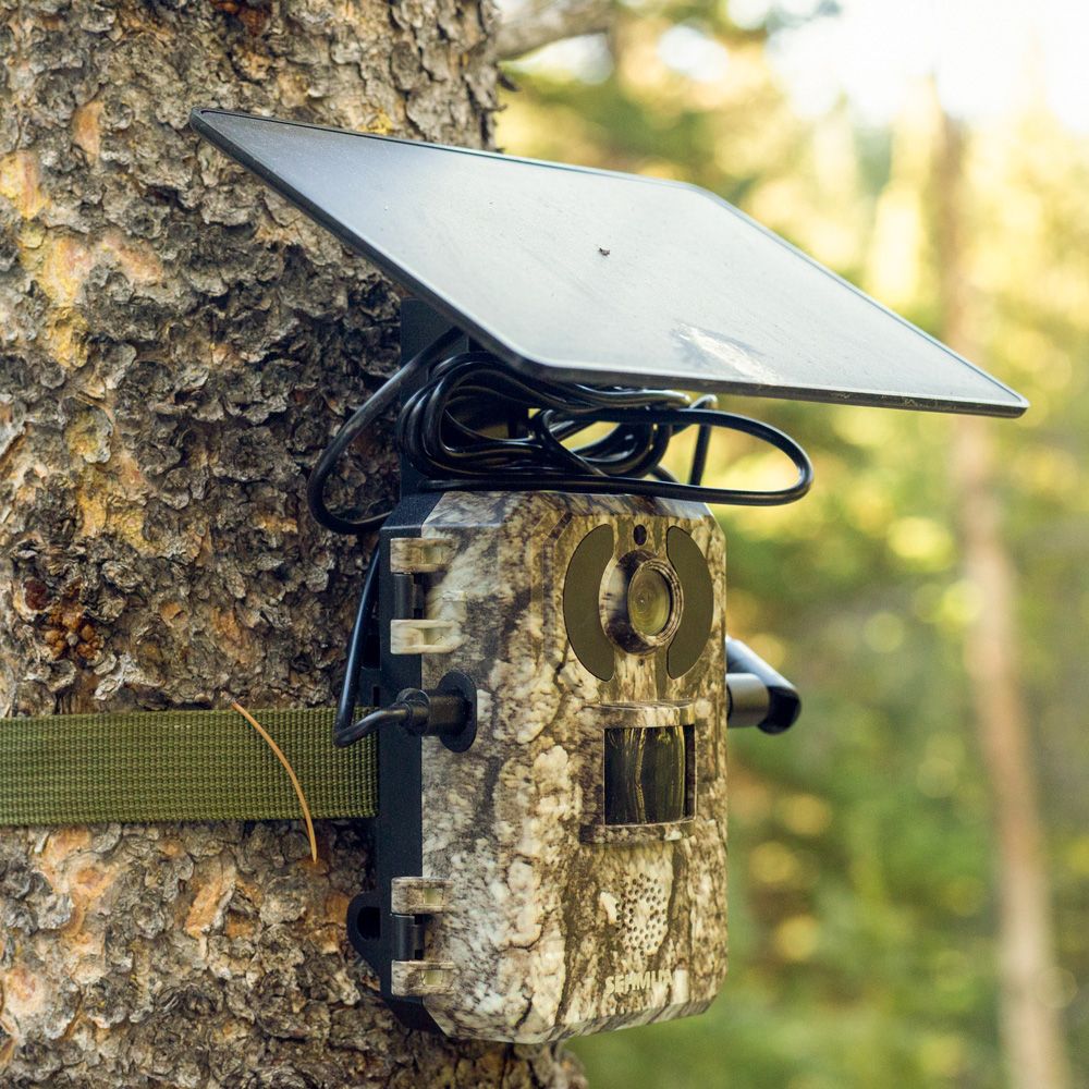 The 7 Best Trail Cameras of 2025 - Deer Cameras for Hunting