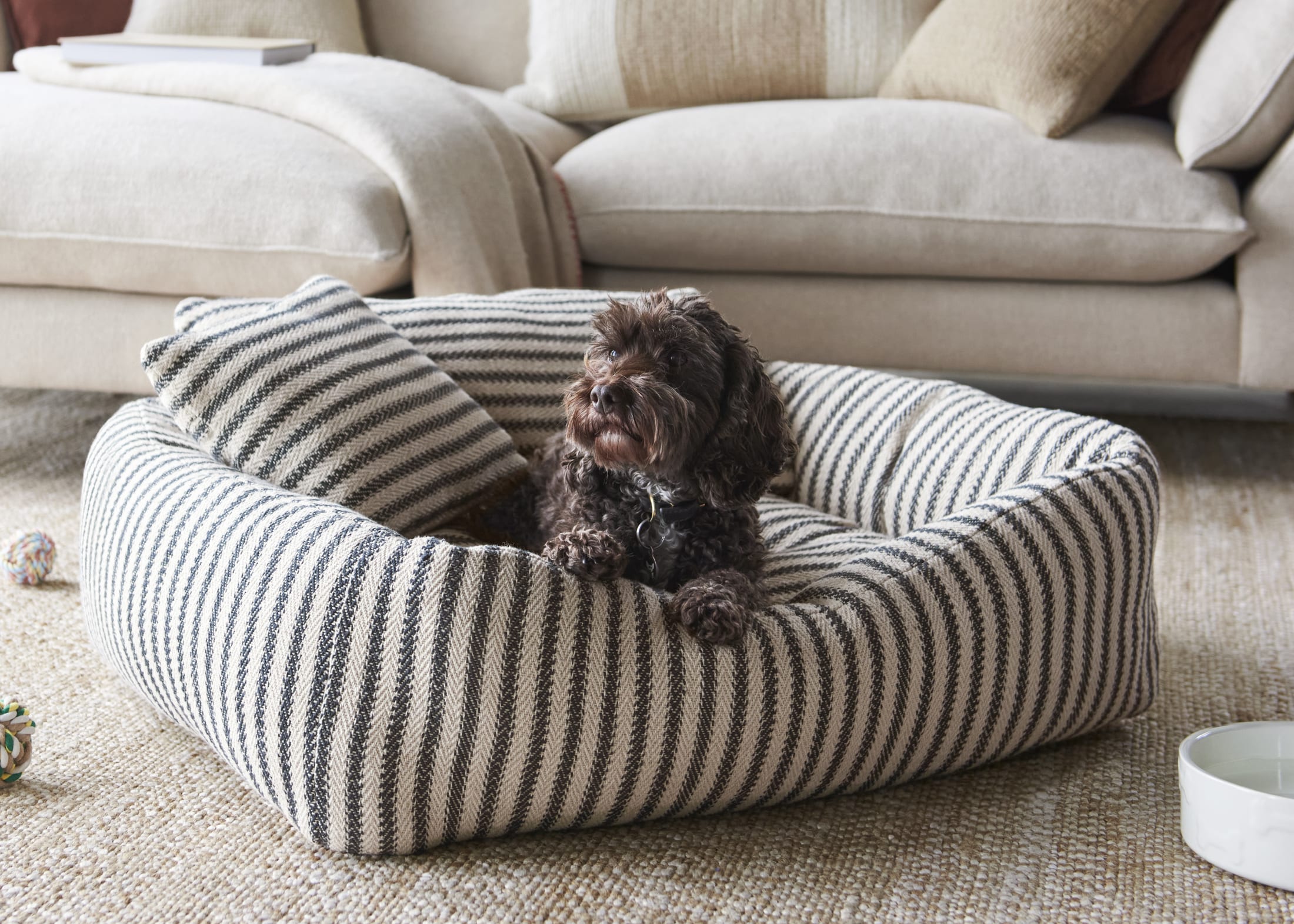 Pet Accessories For The Design-Conscious Pet Owner