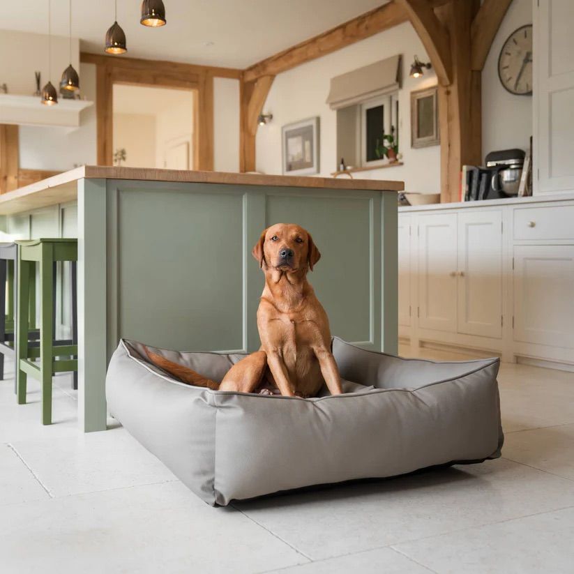 Pet Accessories For The Design-Conscious Pet Owner