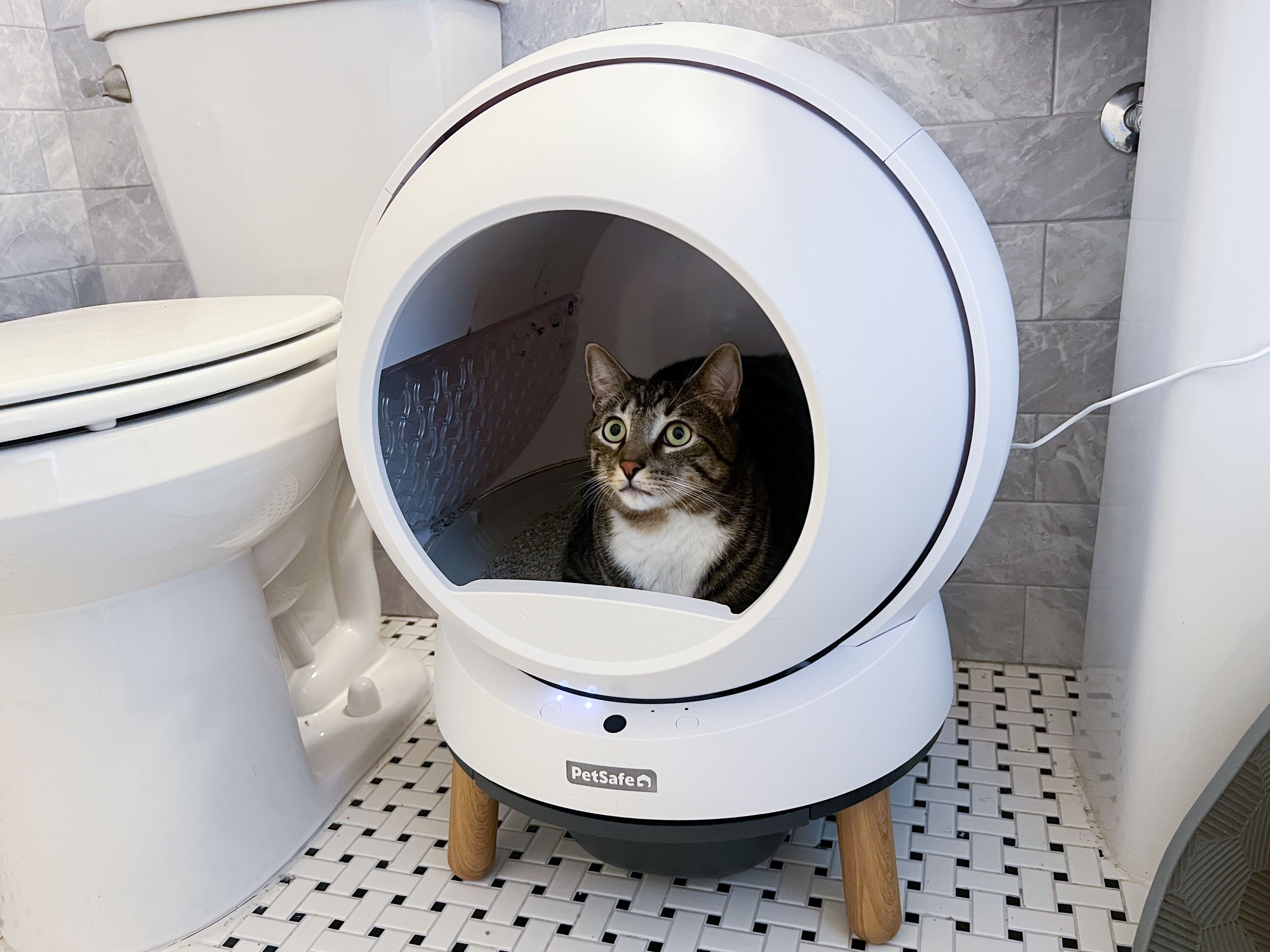 Petsafe Are Cats Automatically Litter Trained Smart Cat Litter Box