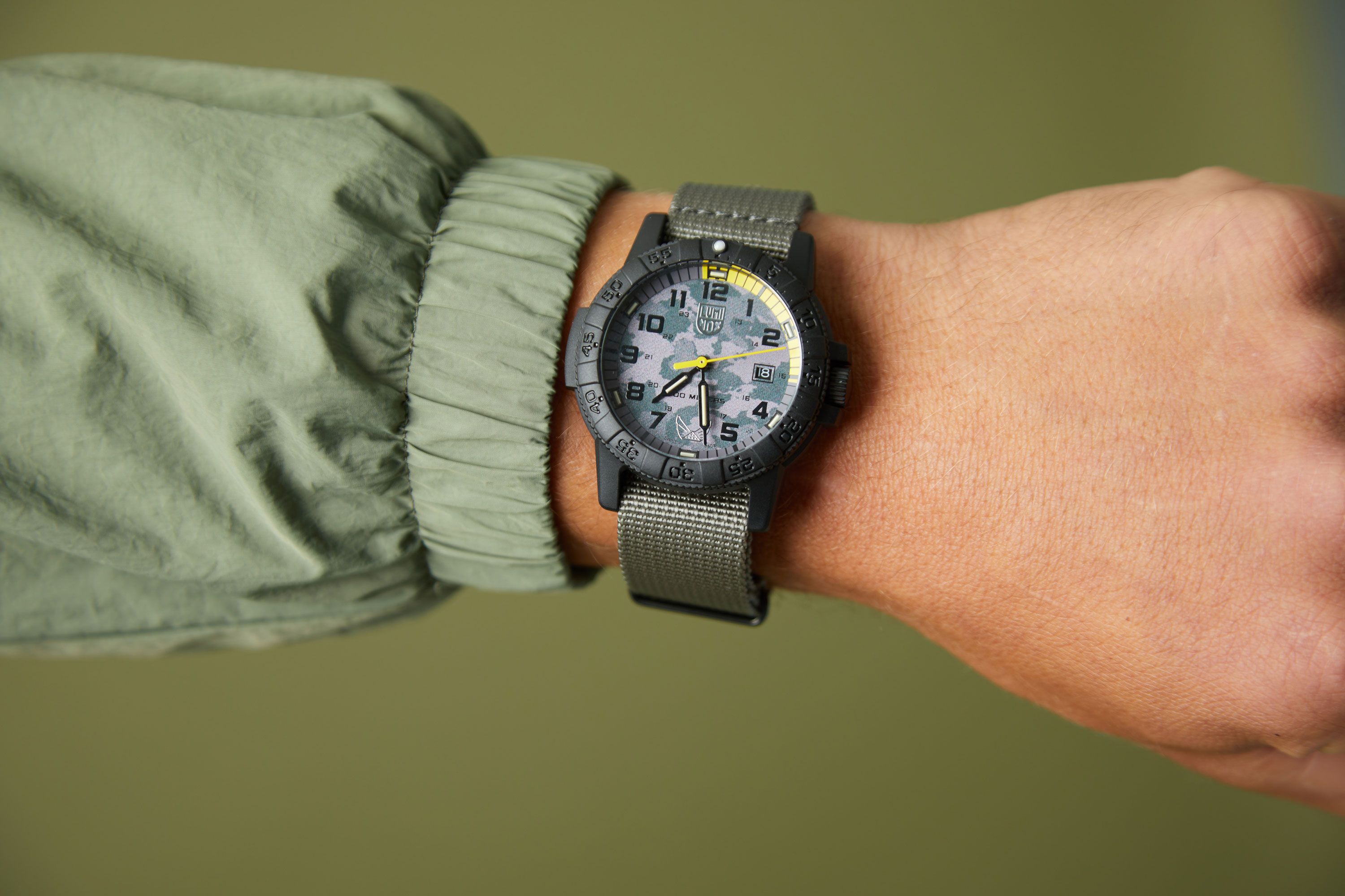 Vaer Watches 38mm Watch On Wrist 38mm Dive Watch VAER DS4 Meridian