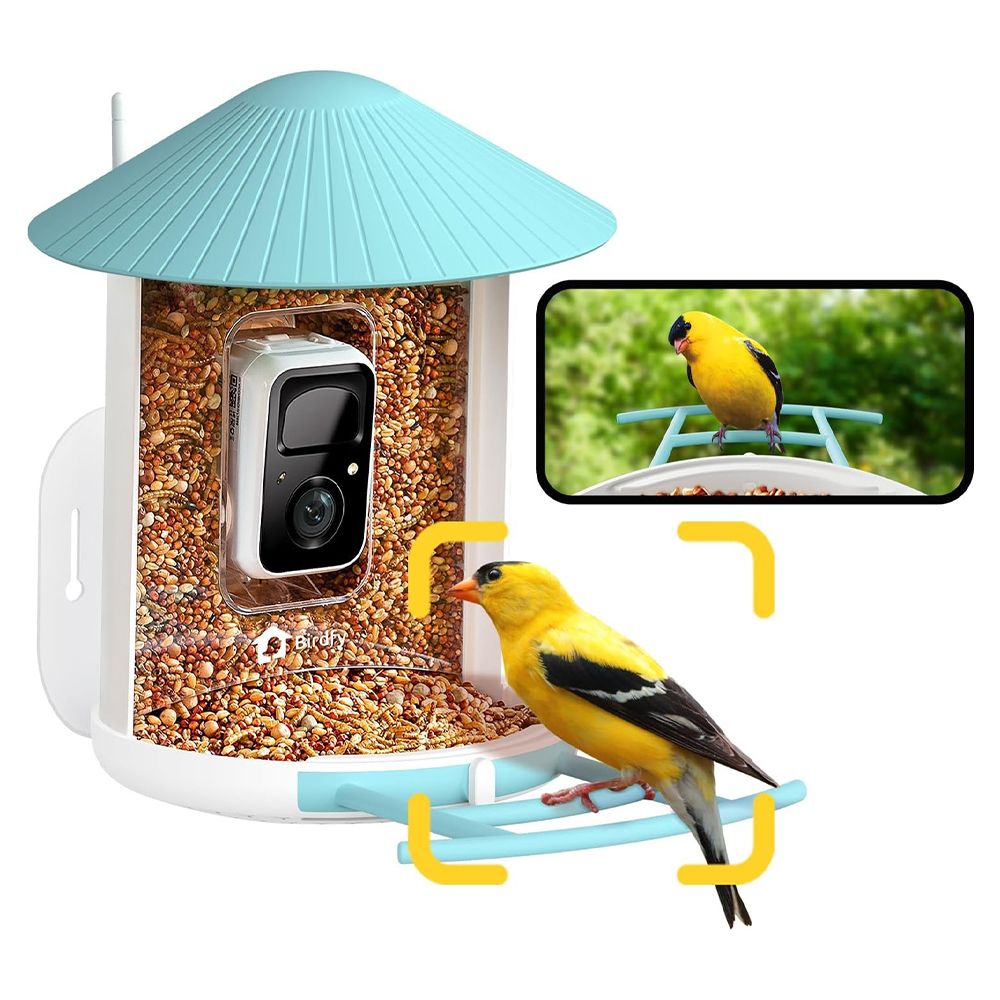 Best Bird Feeder Cameras of 2025, Tested by Our Editors