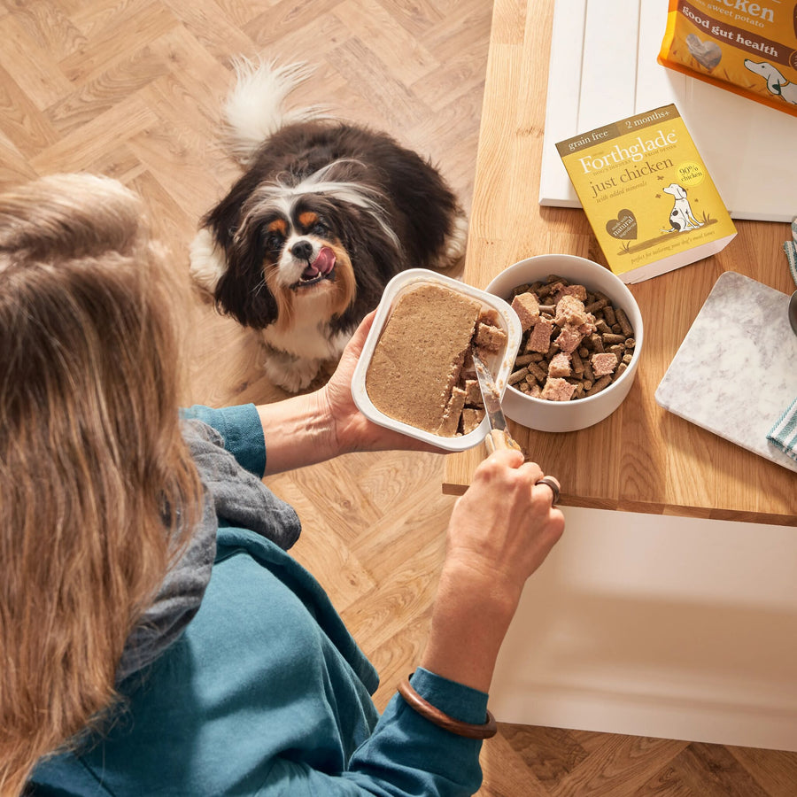 Highest Protein Acana Dog Food Reddit Highest Protein Ranchlands